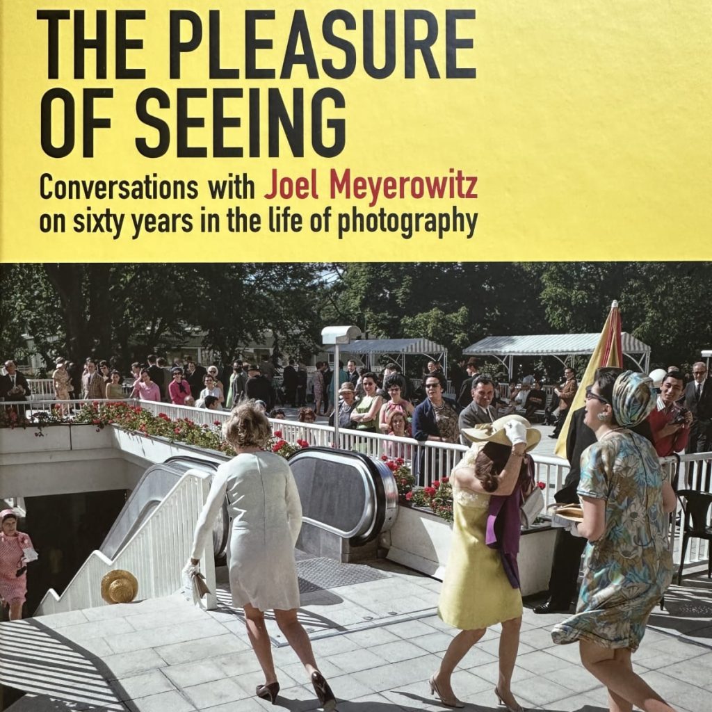 The Pleasure of Seeing: Conversations with Joel Meyerowitz
